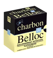 Charbon De Belloc 125 Mg Caps Molle B/60 à Rueil-Malmaison